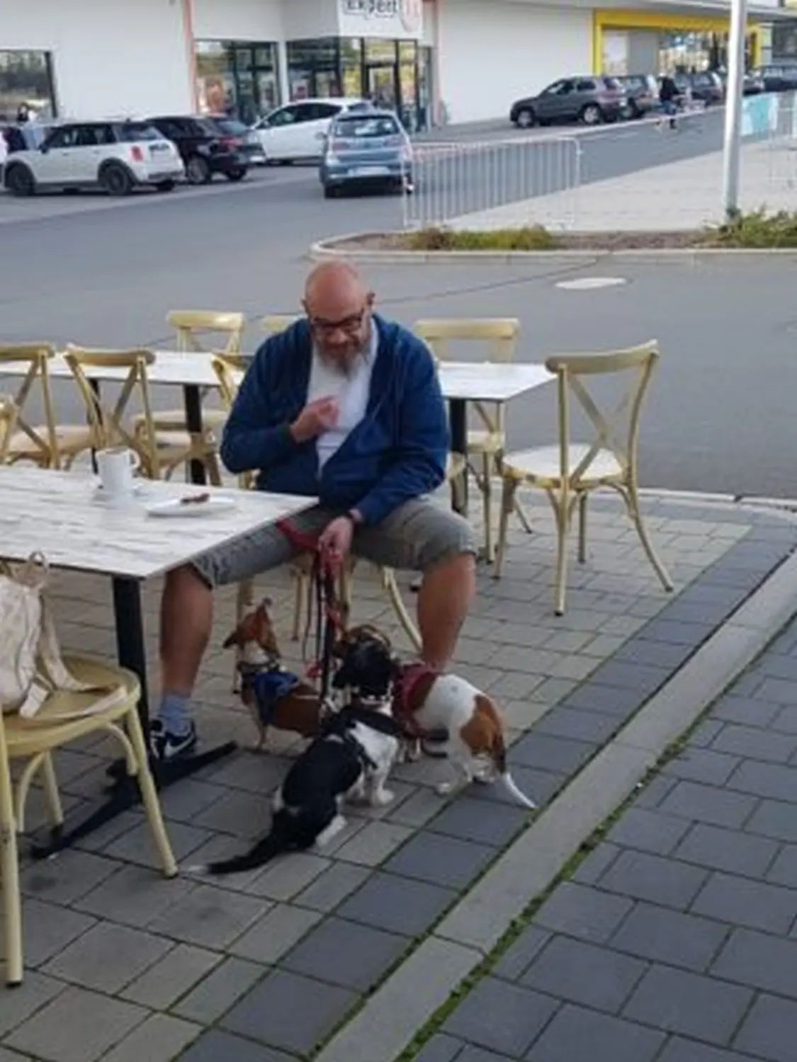 René Brög-Staudigel mit Hunden