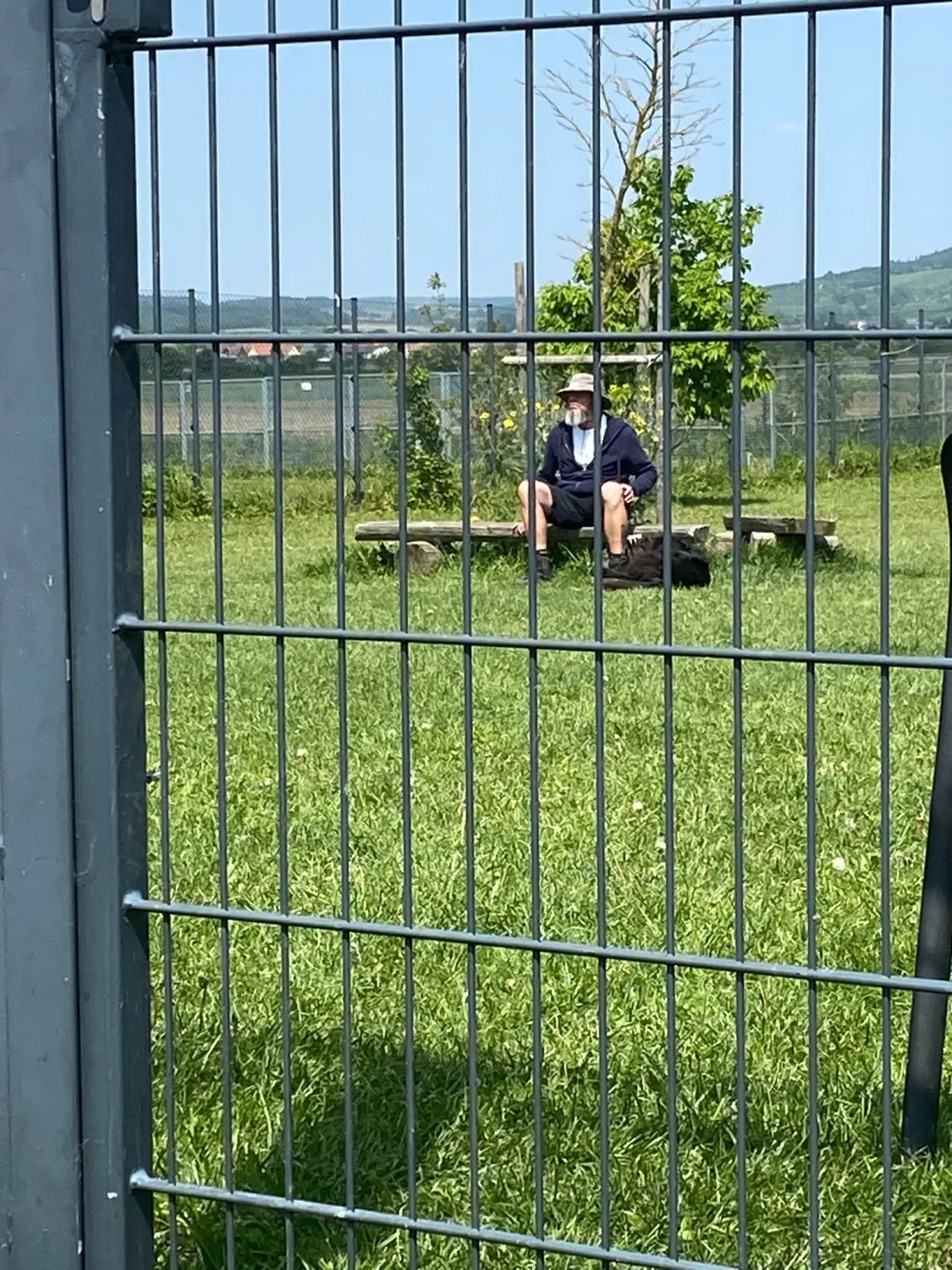 René Brög-Staudigel mit Hunden im Park