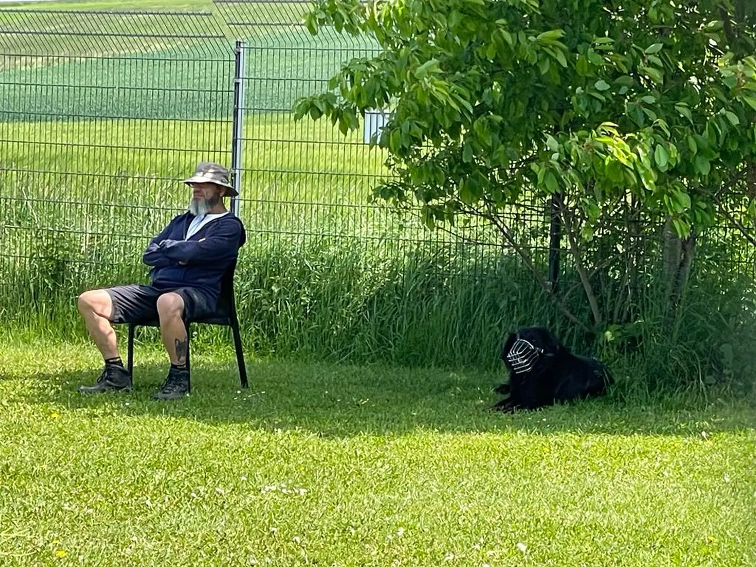 René Brög-Staudigel mit Hunden im Park