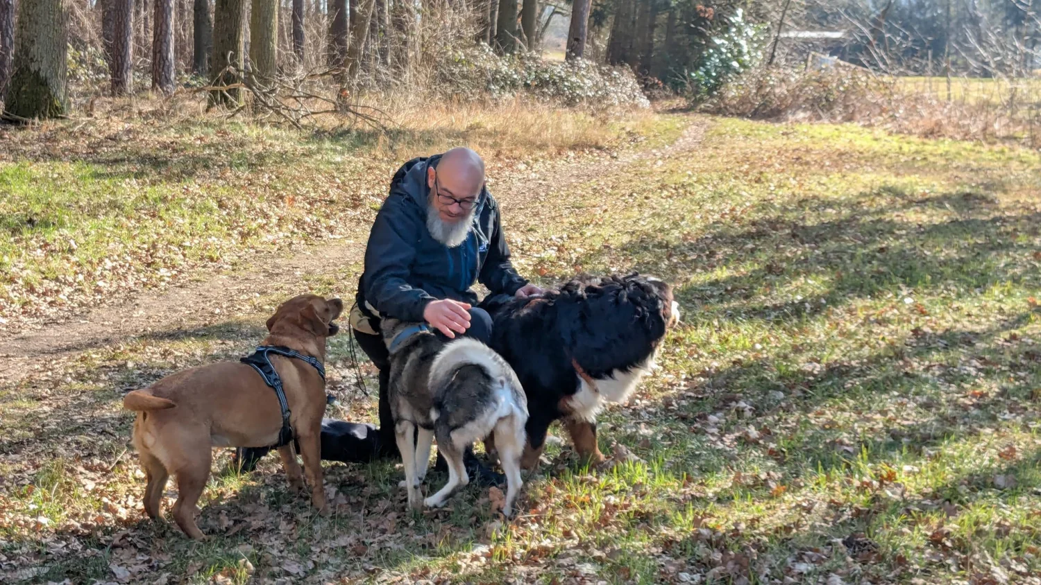 René Brög-Staudigel mit Hunden