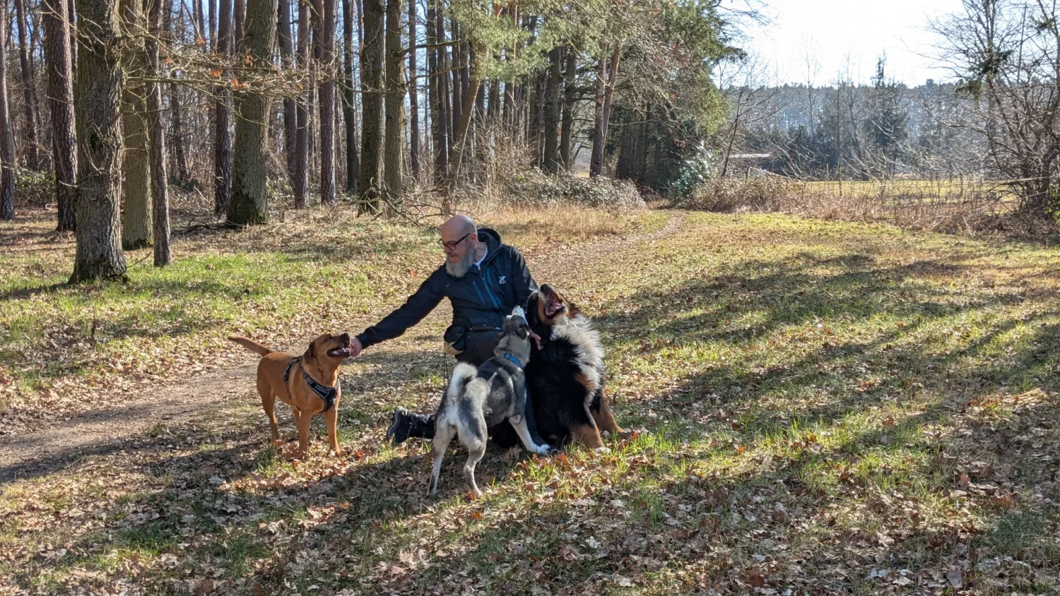 René Brög-Staudigel mit Hunden