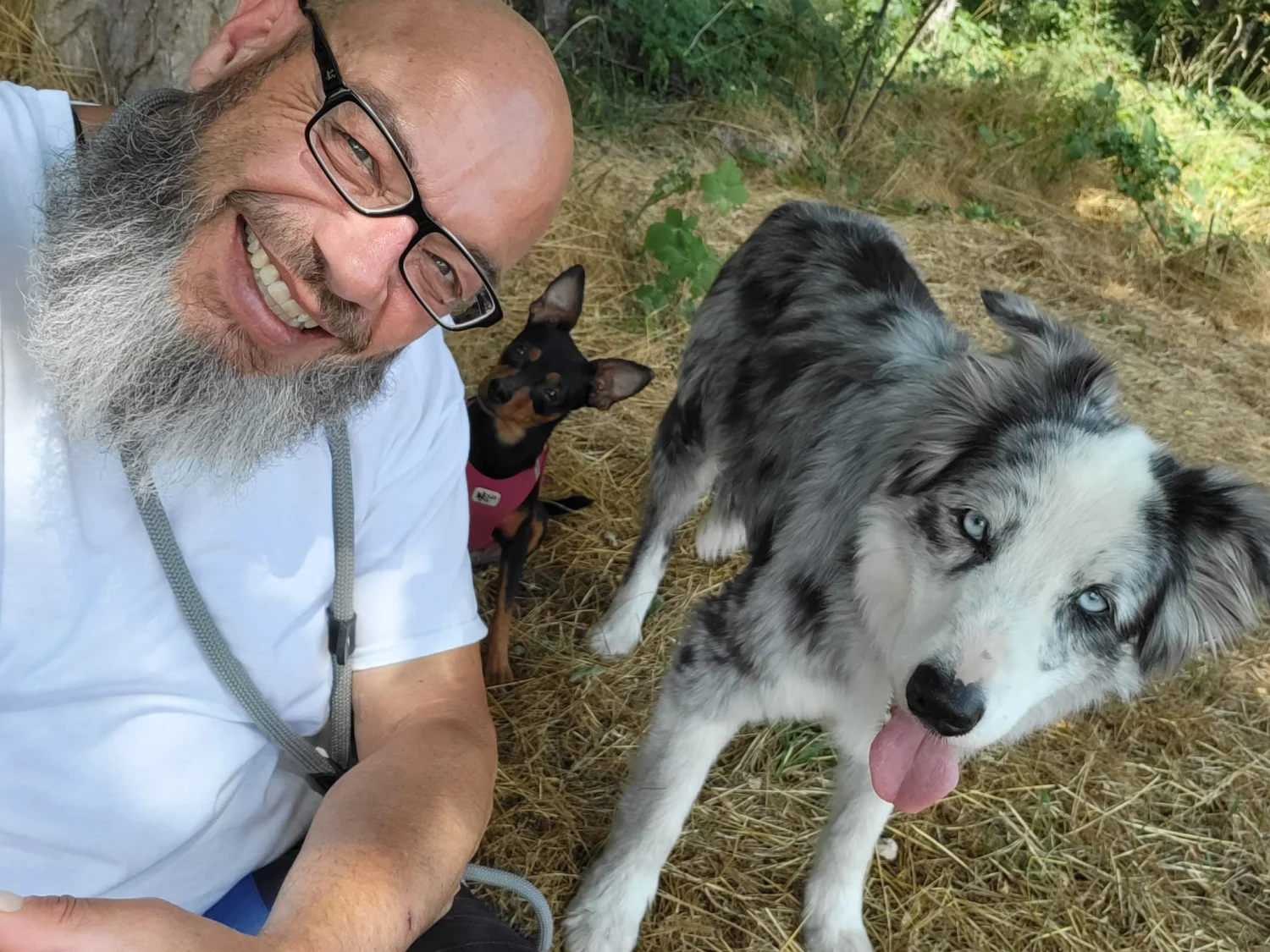 Hunde von Mensch/Hund-Coaching